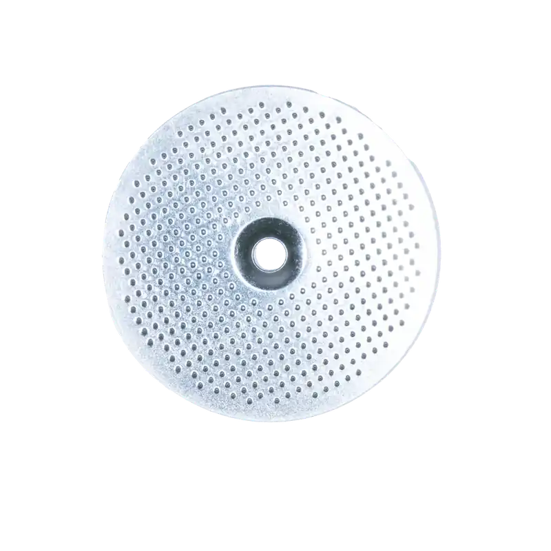 Gaggia gruppefilter 55 mm Classic - OEM-reservedelsnummer 1081063