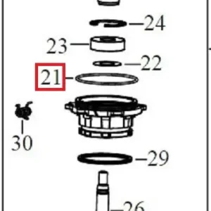 O-Ring DWE4257 - pos.21