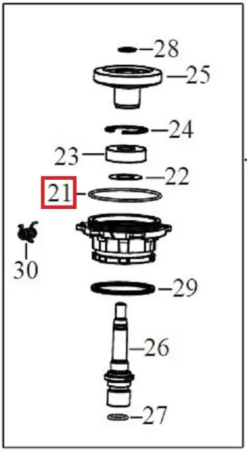 O-Ring DWE4257 - pos.21