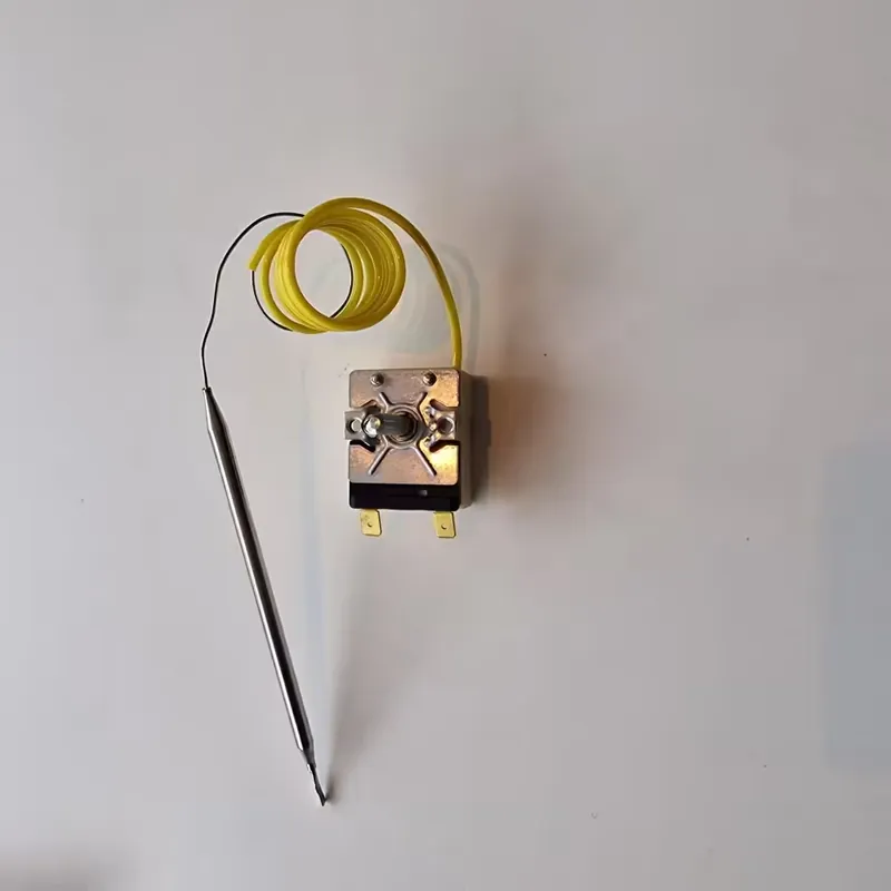 Termostat 55.13002.290
