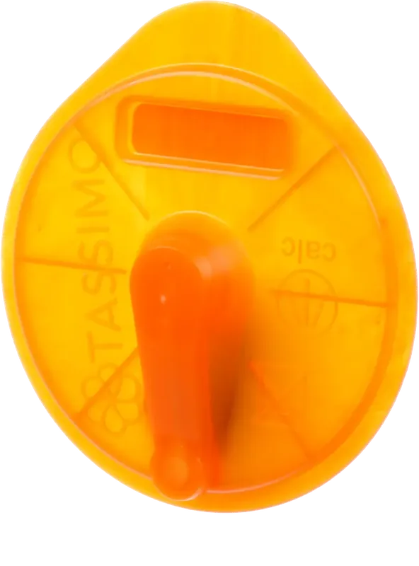 17001491 T-disc